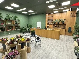 Pronájem obchodního prostoru, Brno, náměstí Svobody, 64 m2