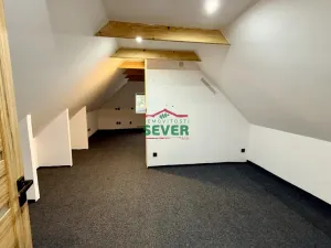 Prodej rodinného domu, Louny - Nečichy, 220 m2