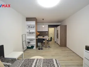 Pronájem bytu 1+kk, Olomouc, Aloise Rašína, 33 m2