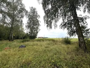 Prodej pozemku, Lučina, 2602 m2