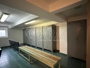 Pronájem skladu, Luby, 1700 m2