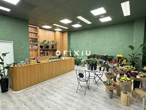 Pronájem obchodního prostoru, Brno, náměstí Svobody, 65 m2