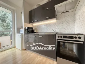 Pronájem bytu 1+1, Zlín, Mokrá II, 36 m2