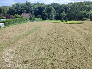 Dražba pozemku pro bydlení, Bruzovice, 11054 m2