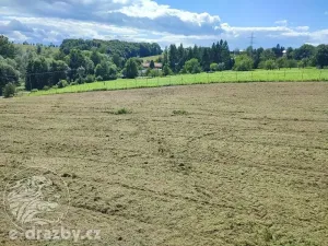 Dražba pozemku pro bydlení, Bruzovice, 11054 m2