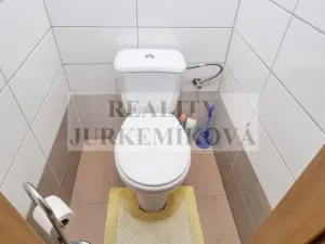 Pronájem bytu 3+1, České Budějovice - České Budějovice 2, Netolická, 67 m2