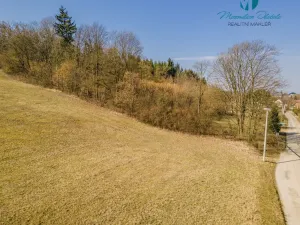 Prodej pozemku pro bydlení, Heřmanice, 1167 m2