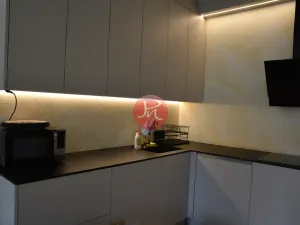 Pronájem bytu 2+kk, Ostrava, F. X. Riepla, 53 m2