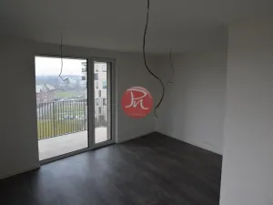 Pronájem bytu 2+kk, Ostrava, F. X. Riepla, 53 m2