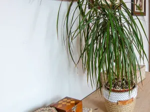 Pronájem bytu 2+kk, Hradec Králové, třída Karla IV., 69 m2