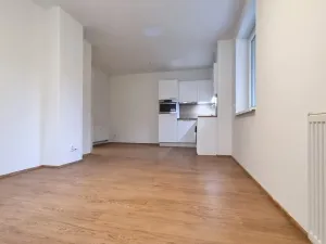 Pronájem bytu 1+kk, Brno, Husovická, 31 m2