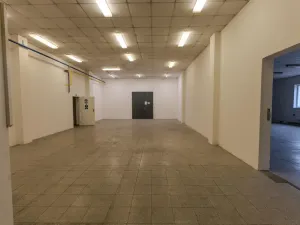 Prodej výrobních prostor, Roudnice nad Labem, Žižkova, 1111 m2