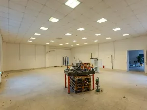 Prodej výrobních prostor, Roudnice nad Labem, Žižkova, 1111 m2