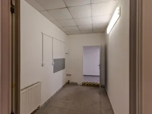 Prodej komerční nemovitosti, Roudnice nad Labem, Žižkova, 1111 m2