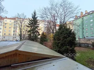 Pronájem bytu 2+kk, Praha - Žižkov, Biskupcova, 45 m2