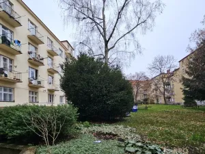Pronájem bytu 2+kk, Praha - Vysočany, Prouzova, 50 m2