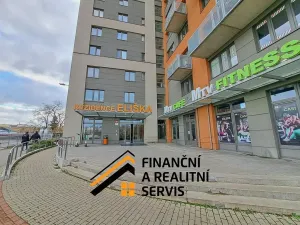 Pronájem bytu 3+kk, Praha - Vysočany, Freyova, 66 m2