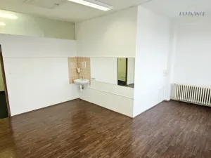 Pronájem kanceláře, Kralupy nad Vltavou, Nerudova, 44 m2
