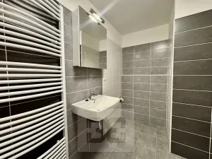 Pronájem bytu 2+kk, Olomouc, Wolkerova, 58 m2