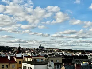 Prodej bytu 2+kk, Praha, Ve Smečkách, 80 m2