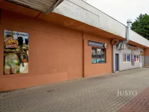 Prodej obchodního prostoru, Ústí nad Labem, Pod Parkem, 85 m2