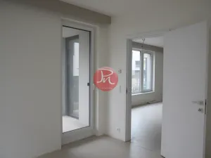 Pronájem bytu 2+kk, Ostrava, F. X. Riepla, 59 m2