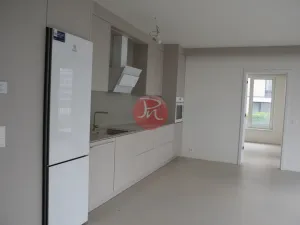 Pronájem kanceláře, Ostrava, F. X. Riepla, 59 m2