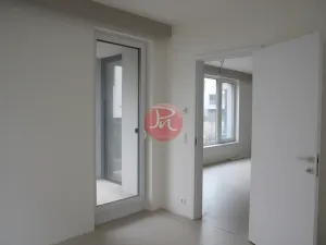 Pronájem kanceláře, Ostrava, F. X. Riepla, 59 m2
