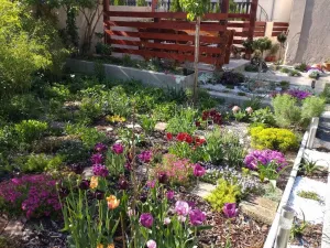 Prodej bytu 2+1, Kamenický Šenov, Palackého, 75 m2