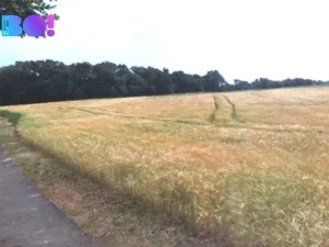 Prodej louky, Kokořín, 3754 m2