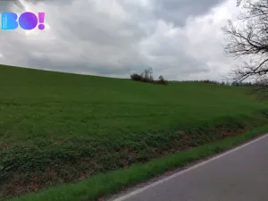 Prodej pole, Lhotka u Litultovic, 11895 m2