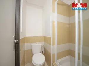 Prodej bytu 2+kk, Děčín - Děčín V-Rozbělesy, Závodní, 42 m2