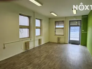 Pronájem obchodního prostoru, Tábor, U Čápova dvora, 103 m2