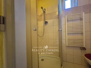 Prodej bytu 1+1, Český Těšín, Na Olšinách, 38 m2