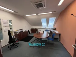Pronájem bytu 6+kk a větší, Hulín, Vrchlického, 150 m2