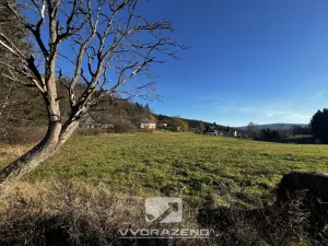 Prodej louky, Lučany nad Nisou, 2462 m2