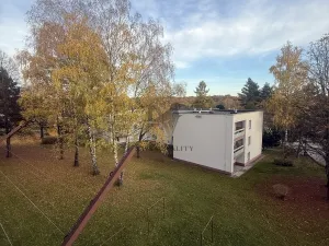 Pronájem bytu 1+1, Orlová, Lesní, 38 m2