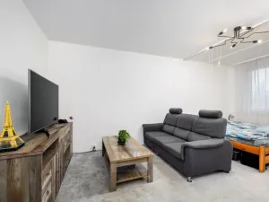 Prodej bytu 2+1, České Budějovice - České Budějovice 3, U Trojice, 61 m2