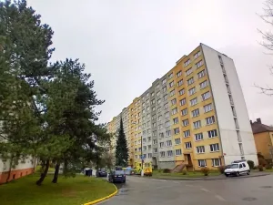 Prodej bytu 2+1, České Budějovice - České Budějovice 3, U Trojice, 61 m2