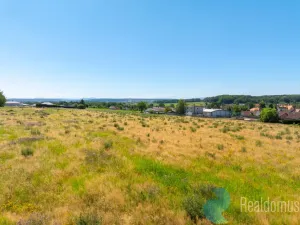 Prodej pozemku pro bydlení, Litvínovice, 1003 m2