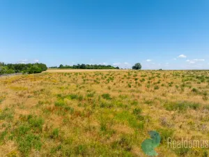 Prodej pozemku pro bydlení, Litvínovice, 1003 m2