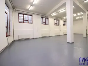 Pronájem skladu, Praha - Strašnice, U trati, 263 m2