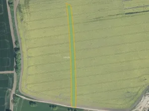 Prodej pole, Roštín, 17285 m2