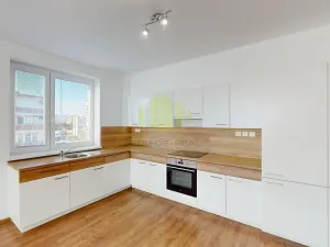 Pronájem bytu 4+kk, Olomouc, Janského, 112 m2