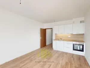 Pronájem bytu 1+kk, Olomouc, Camilla Sitteho, 32 m2
