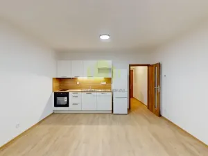 Pronájem bytu 1+kk, Olomouc, Janského, 38 m2