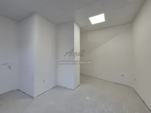 Pronájem kanceláře, Šlapanice, 293 m2