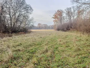 Prodej pole, Oseček, 76028 m2