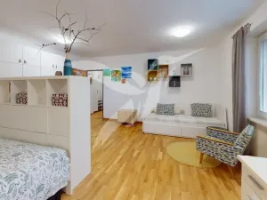 Pronájem bytu 1+1, Plzeň, Barákova, 45 m2