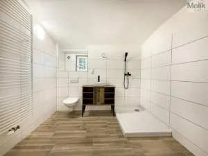 Pronájem bytu 2+kk, Háj u Duchcova, Kubátova, 54 m2